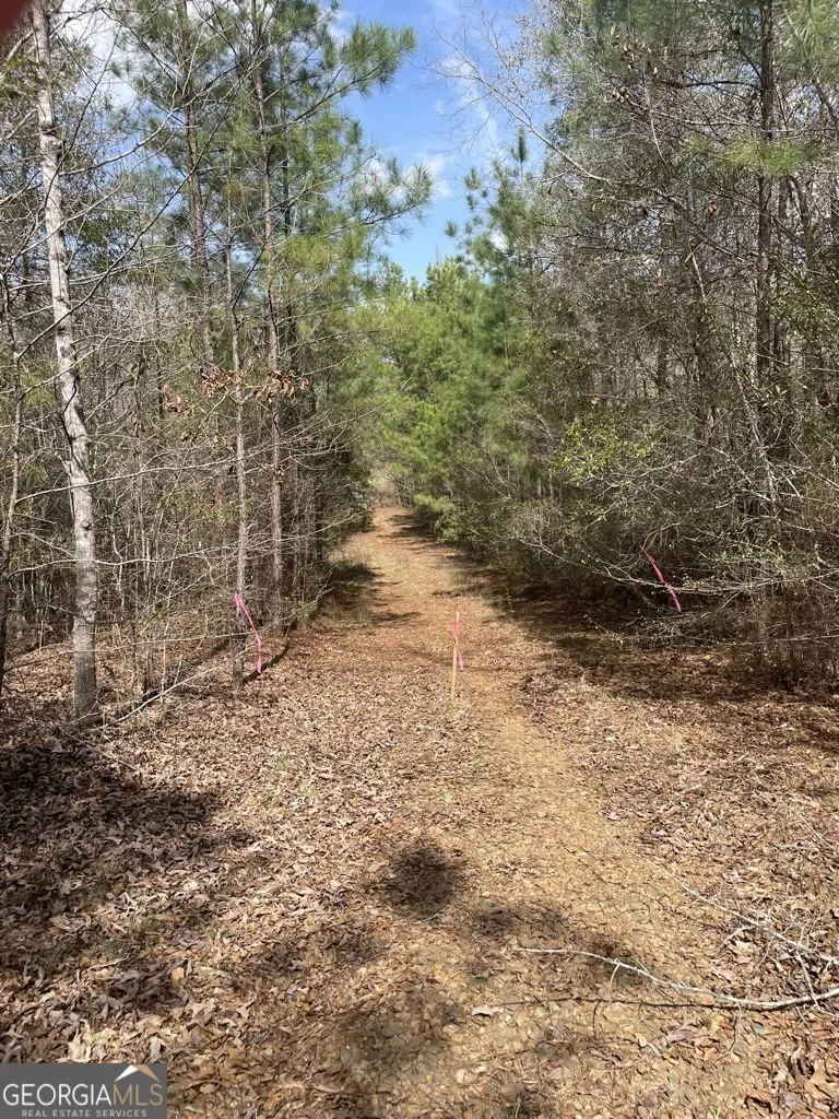 0 Minor Thomaston, GA 30286