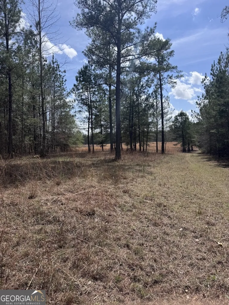 0 Minor Thomaston, GA 30286