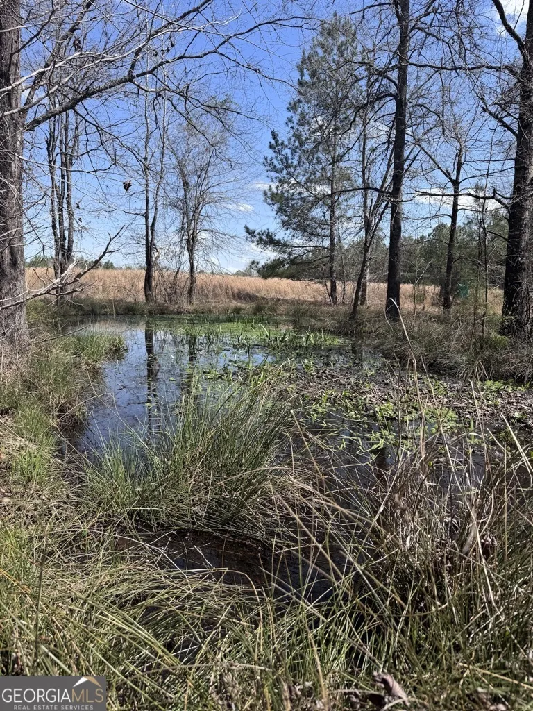 0 Minor Thomaston, GA 30286
