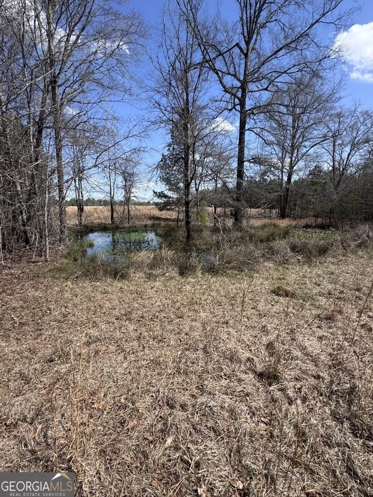 0 Minor Thomaston, GA 30286