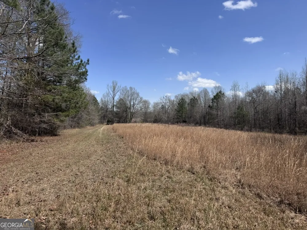 0 Minor Thomaston, GA 30286