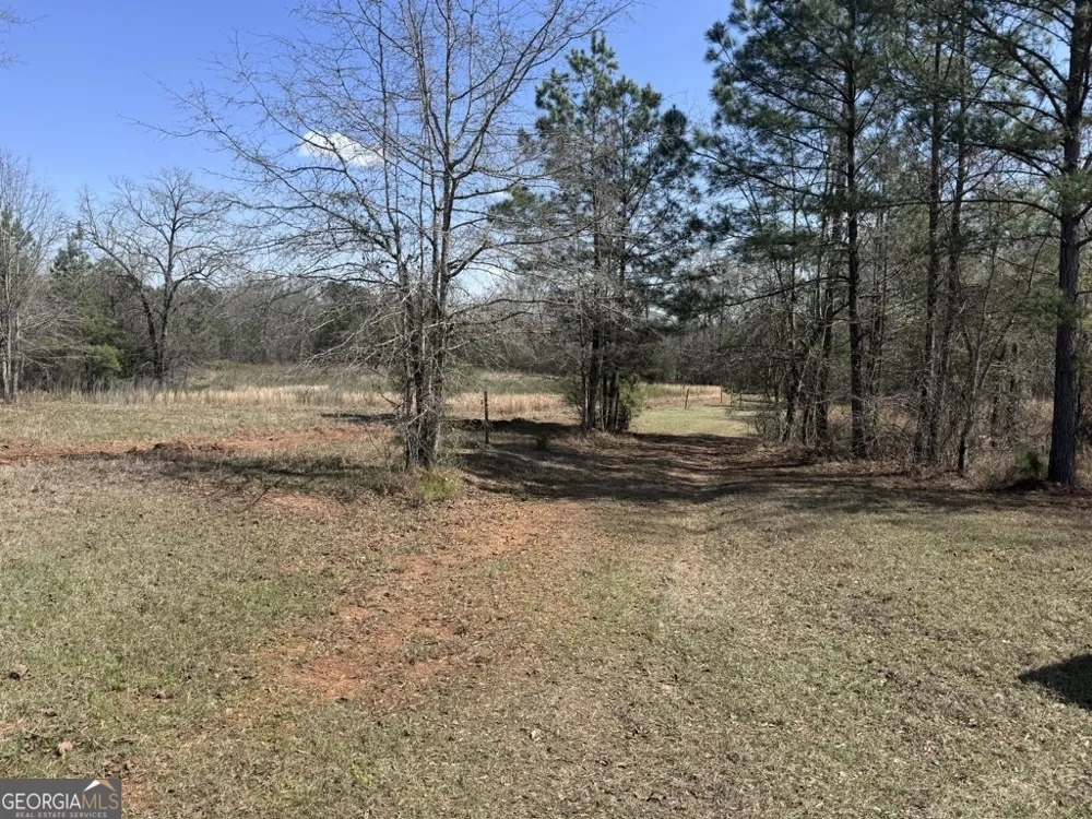 0 Minor Thomaston, GA 30286