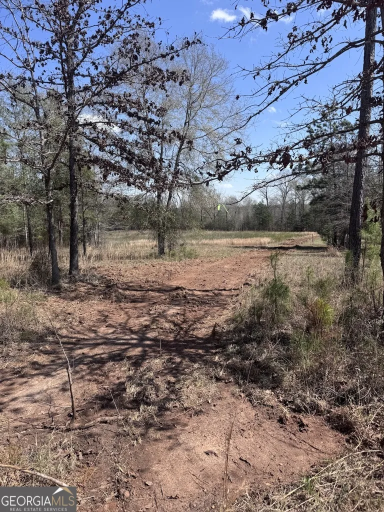 0 Minor Thomaston, GA 30286