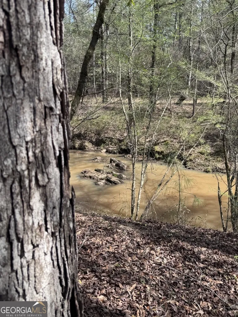 0 Minor Thomaston, GA 30286