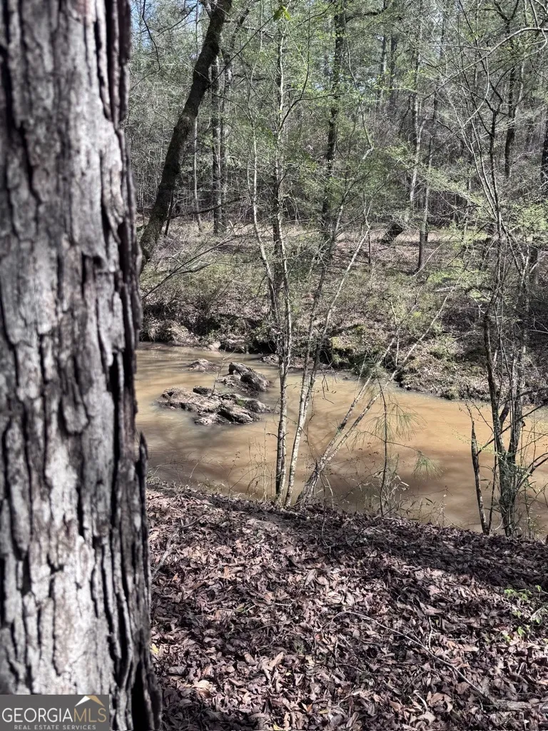 0 Minor Thomaston, GA 30286