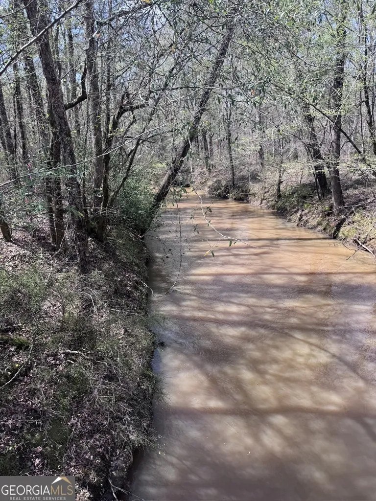 0 Minor Thomaston, GA 30286