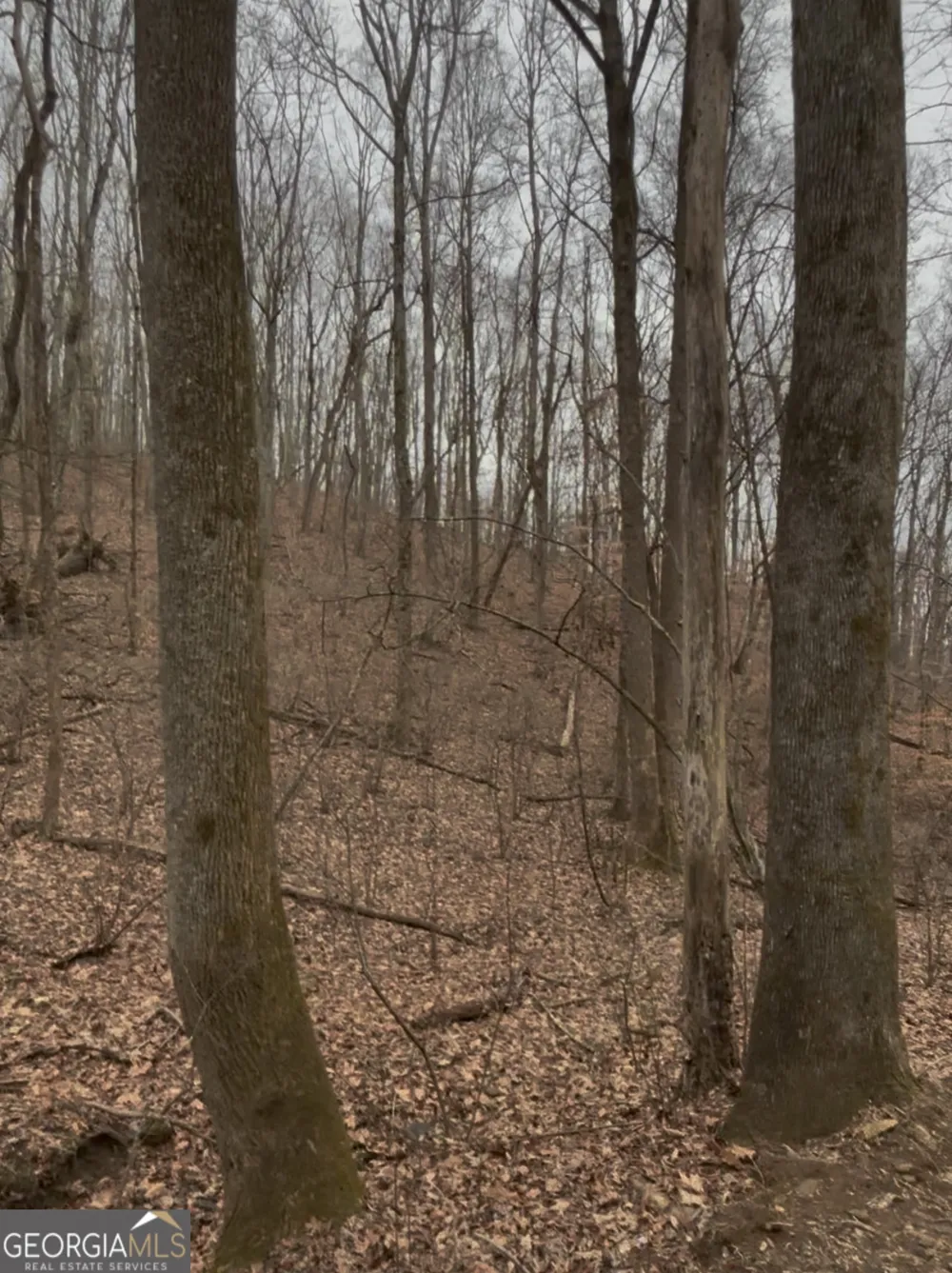 0 Sutton RD Talking Rock, GA 30175