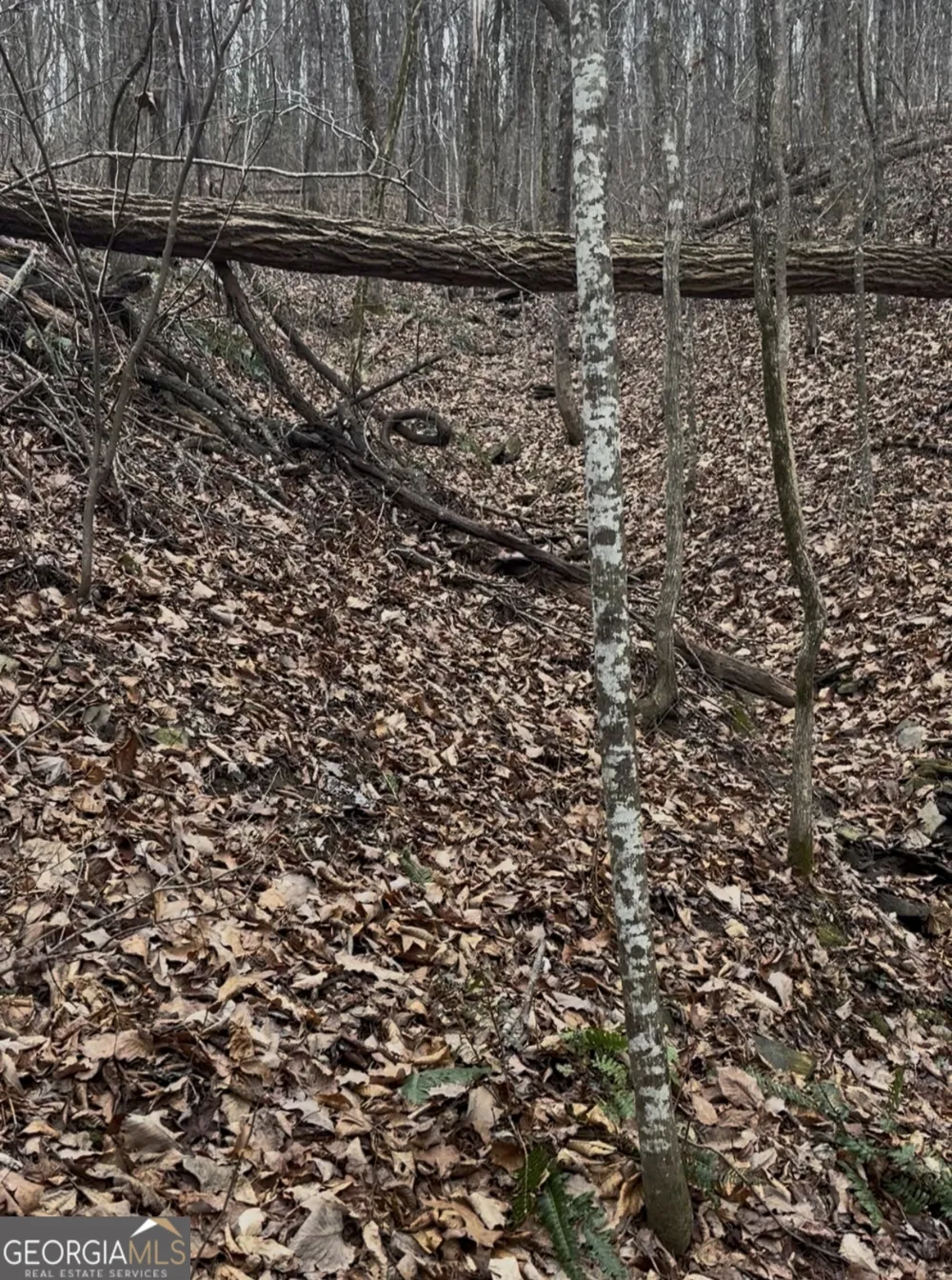 0 Sutton RD Talking Rock, GA 30175