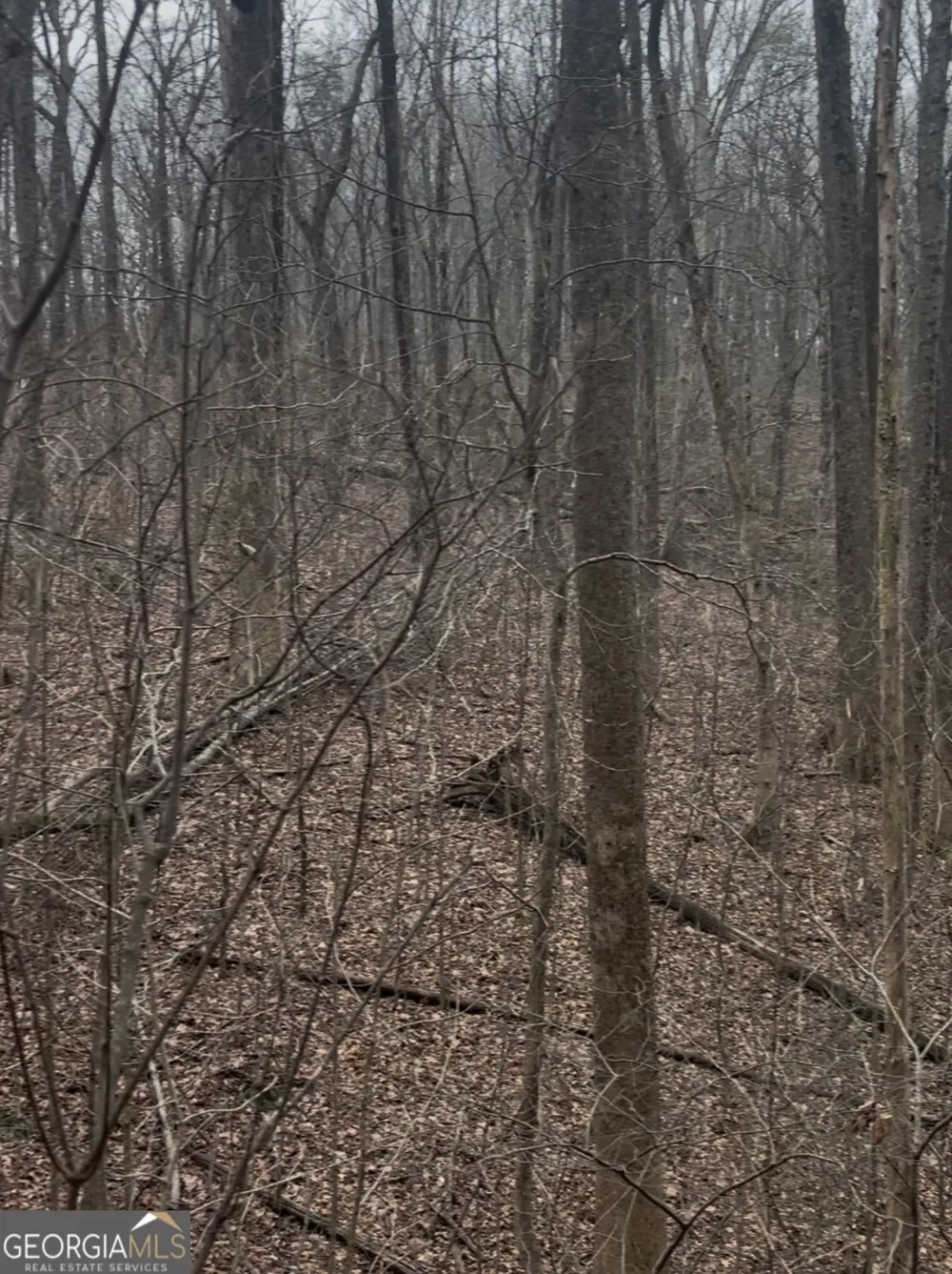 0 Sutton RD Talking Rock, GA 30175