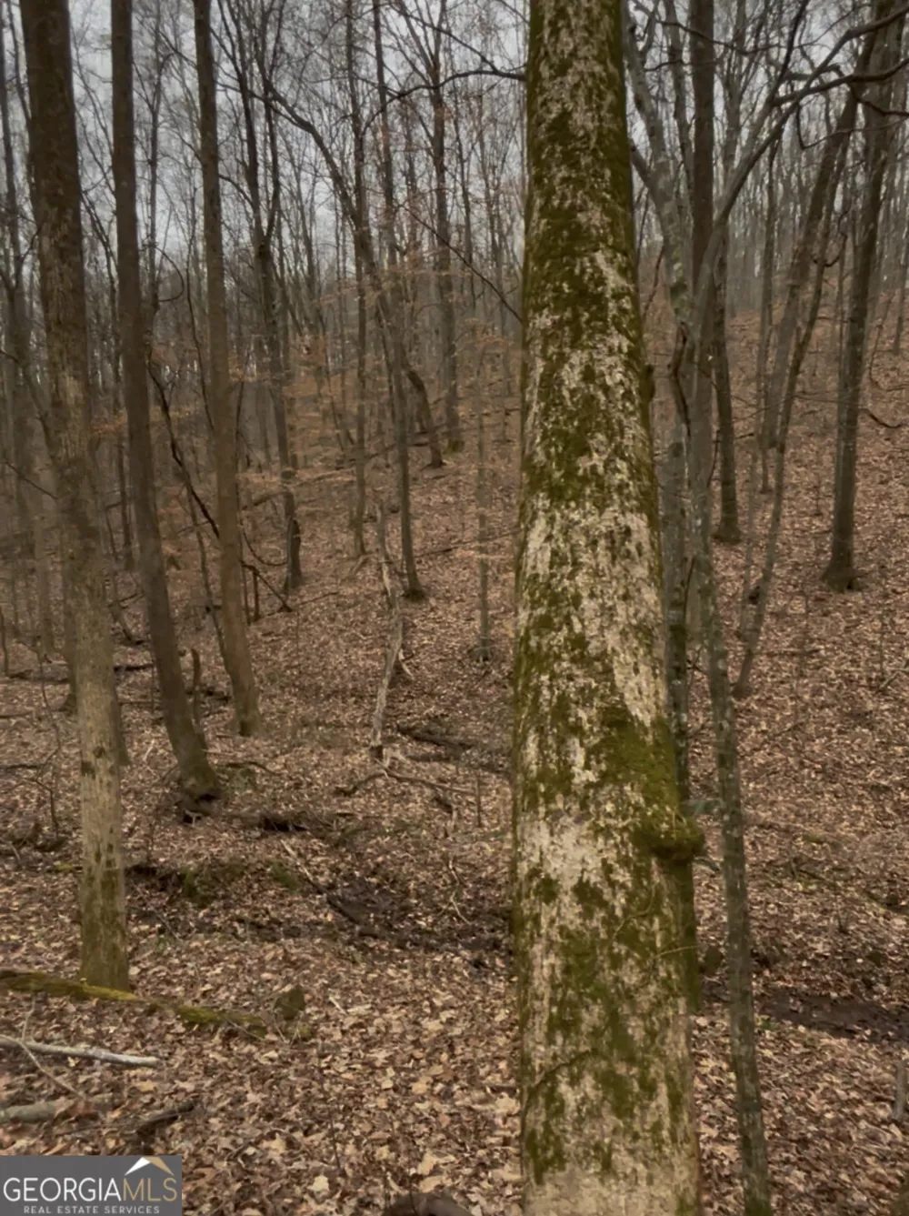 0 Sutton RD Talking Rock, GA 30175
