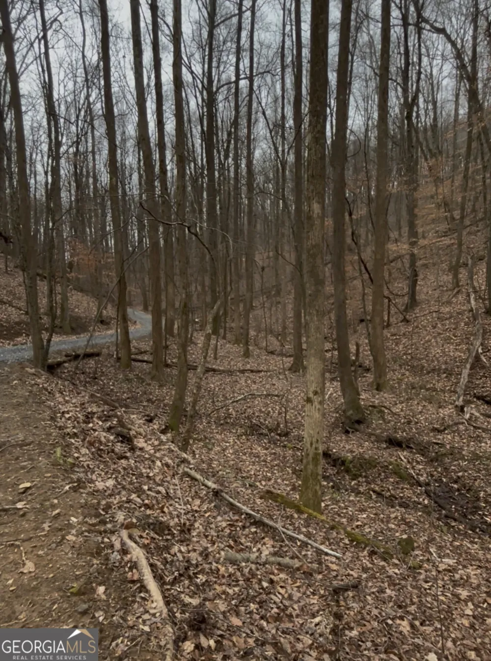 0 Sutton RD Talking Rock, GA 30175