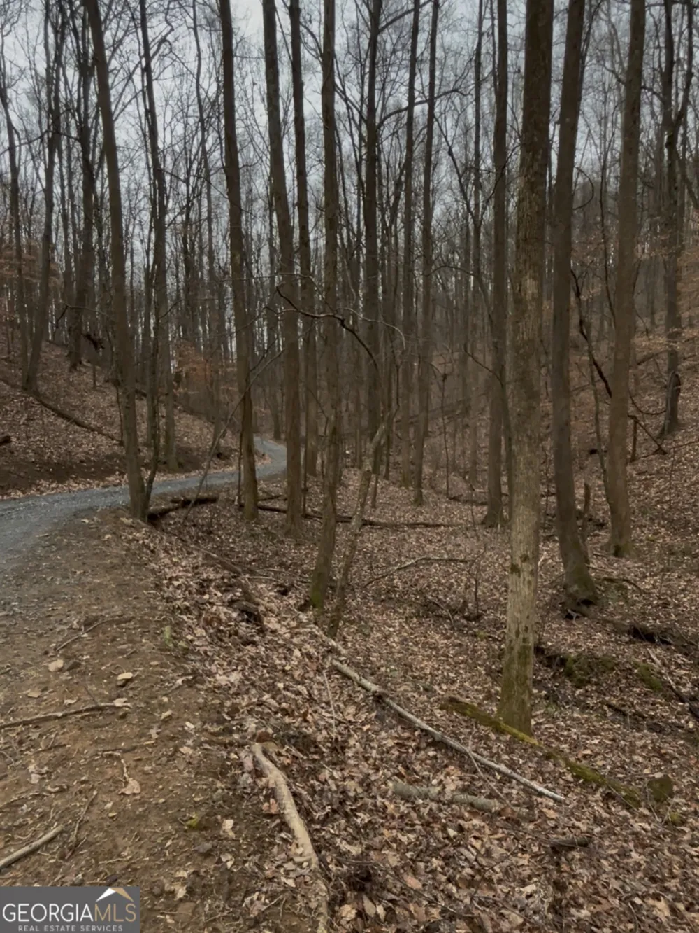 0 Sutton RD Talking Rock, GA 30175