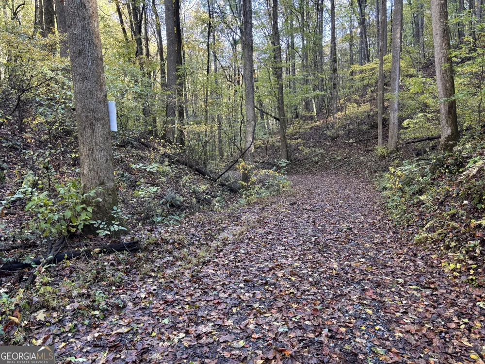 0 Sutton RD Talking Rock, GA 30175