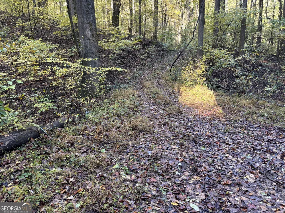 0 Sutton RD Talking Rock, GA 30175