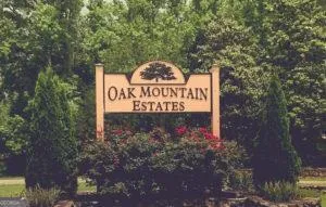 BLK 14 LOT 11 Redbud CT Waverly Hall, GA 31831