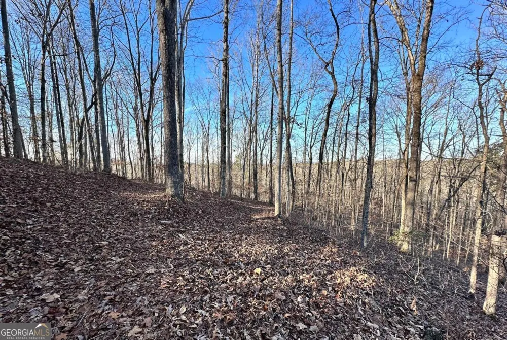 8555 Woodland Brooke TRL Cumming, GA 30028
