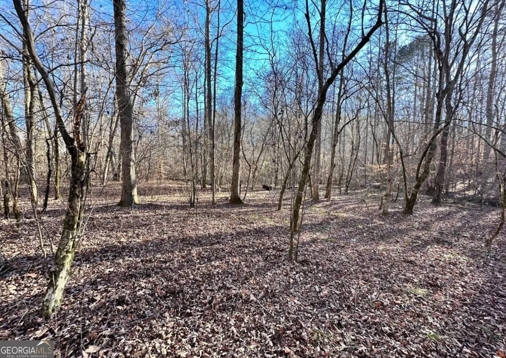8555 Woodland Brooke TRL Cumming, GA 30028