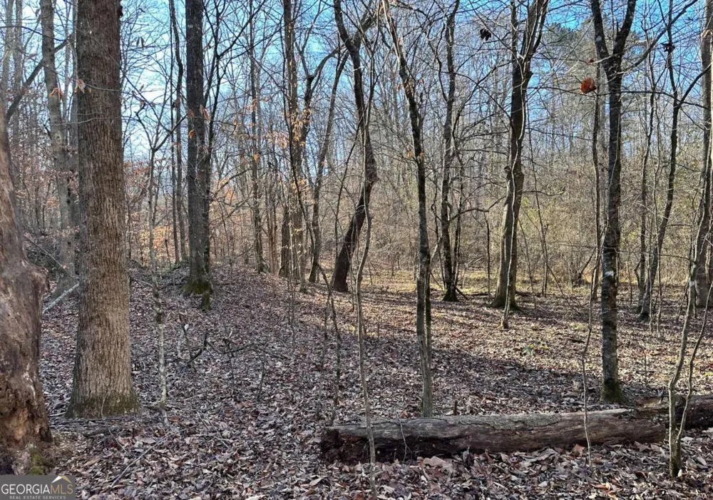 8555 Woodland Brooke TRL Cumming, GA 30028