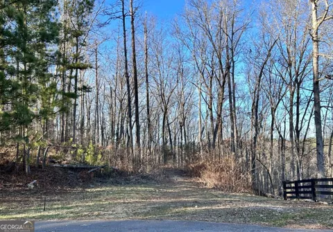 8555 Woodland Brooke TRL