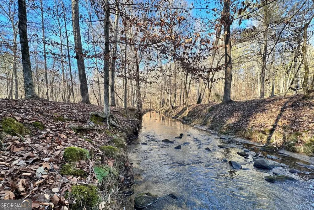 8555 Woodland Brooke TRL Cumming, GA 30028