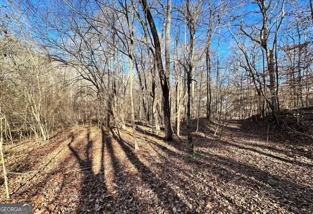 8555 Woodland Brooke TRL Cumming, GA 30028