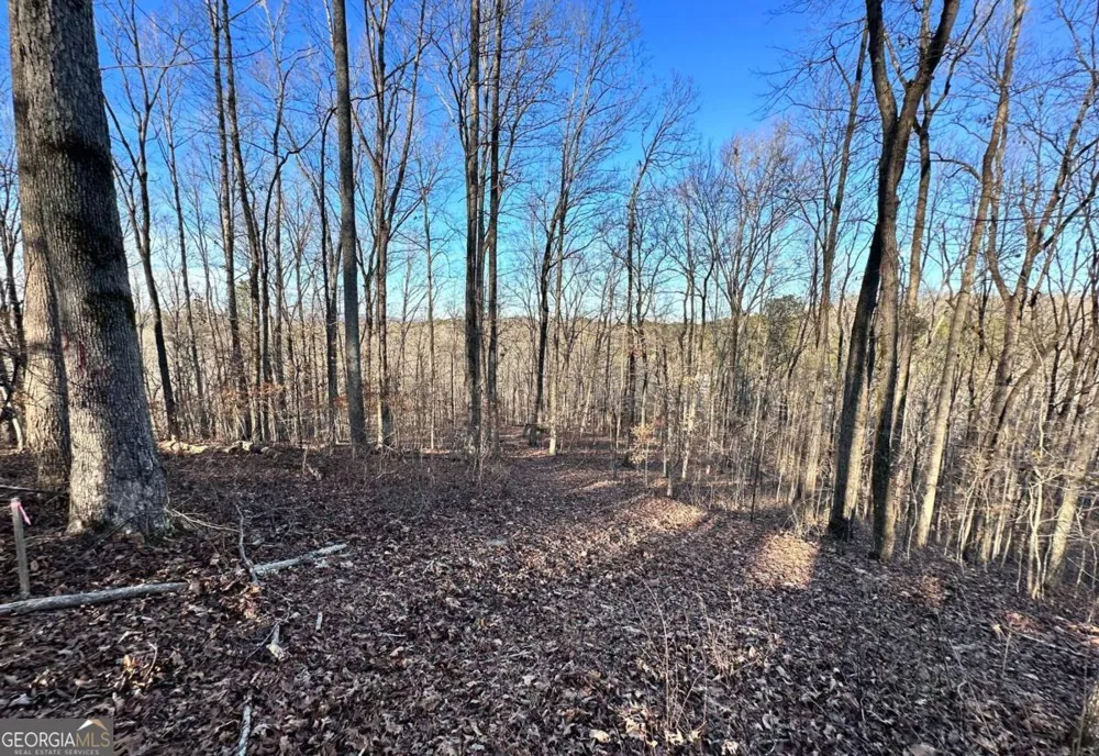 8555 Woodland Brooke TRL Cumming, GA 30028