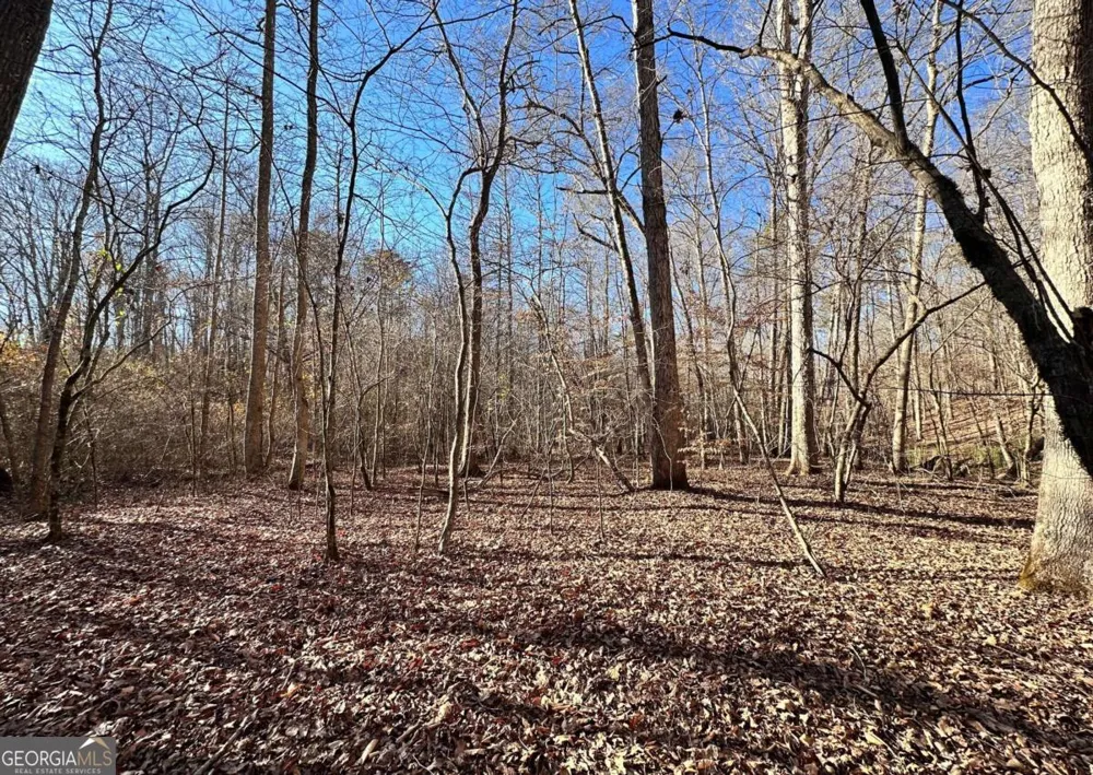 8555 Woodland Brooke TRL Cumming, GA 30028