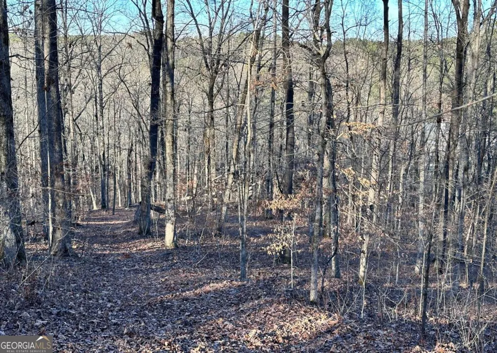 8555 Woodland Brooke TRL Cumming, GA 30028