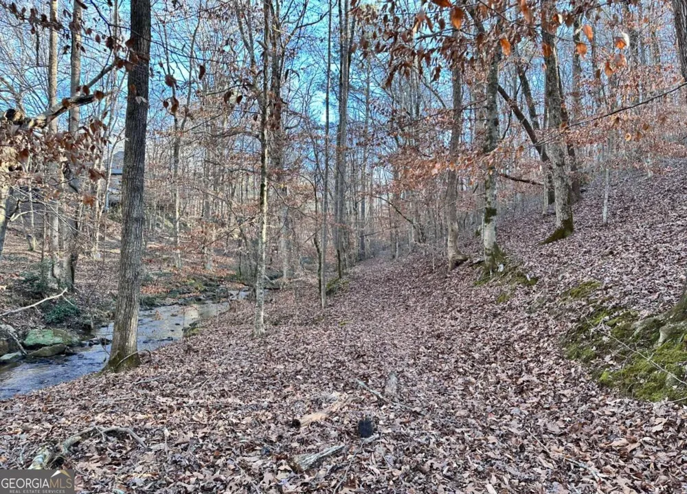 8555 Woodland Brooke TRL Cumming, GA 30028