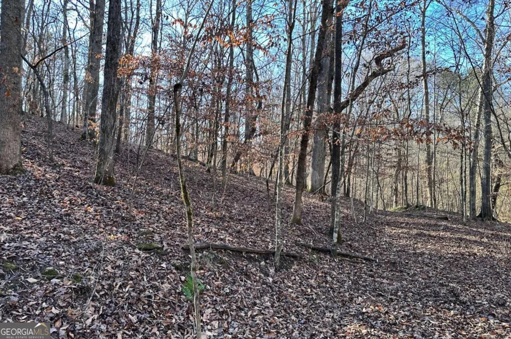 8555 Woodland Brooke TRL Cumming, GA 30028