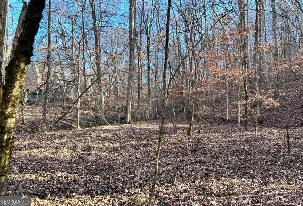 8555 Woodland Brooke TRL Cumming, GA 30028