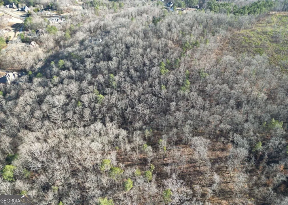 8555 Woodland Brooke TRL Cumming, GA 30028
