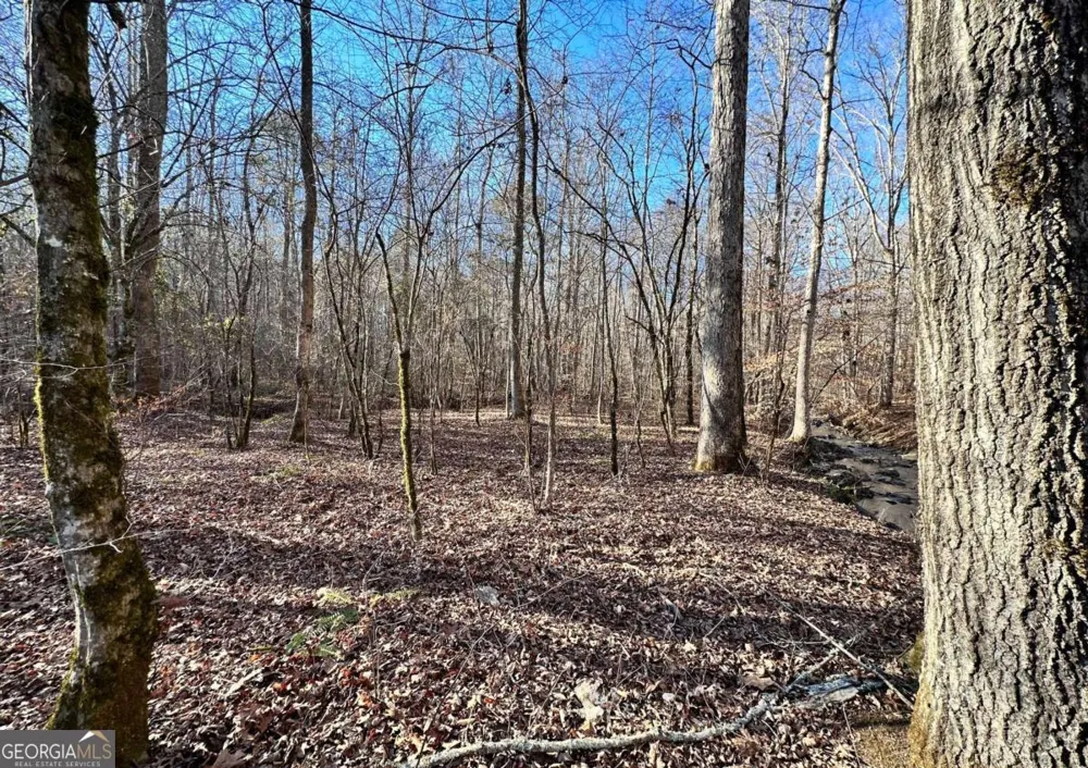 8555 Woodland Brooke TRL Cumming, GA 30028