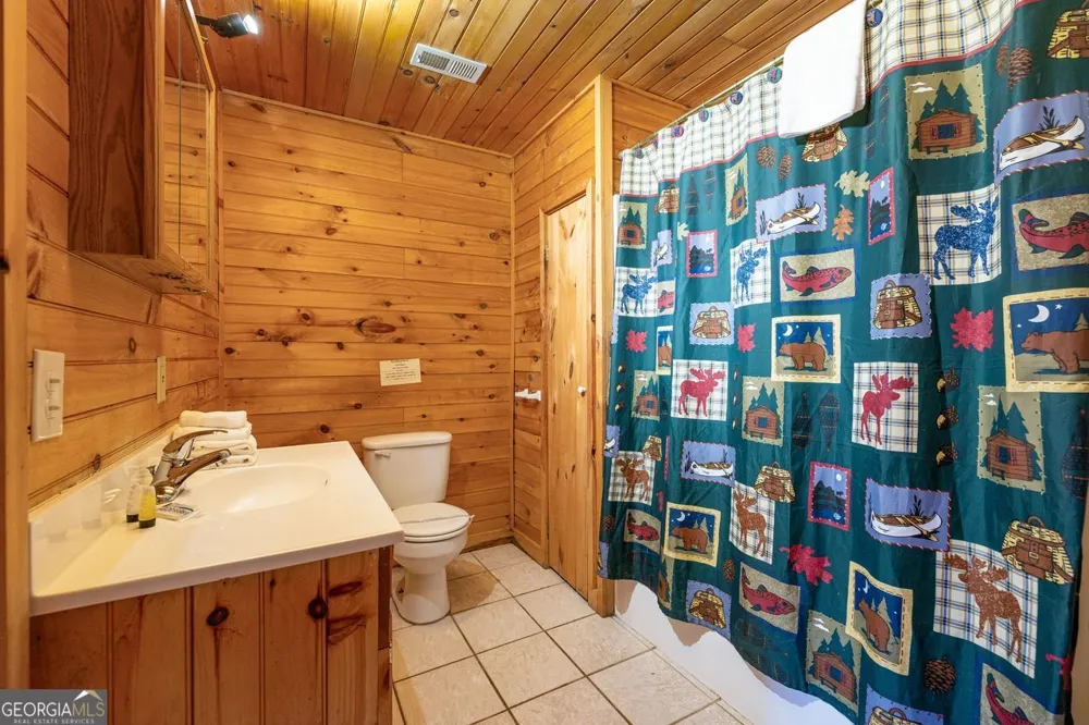 101 MOONSHINE MOUNTAIN RD Mineral Bluff, GA 30559