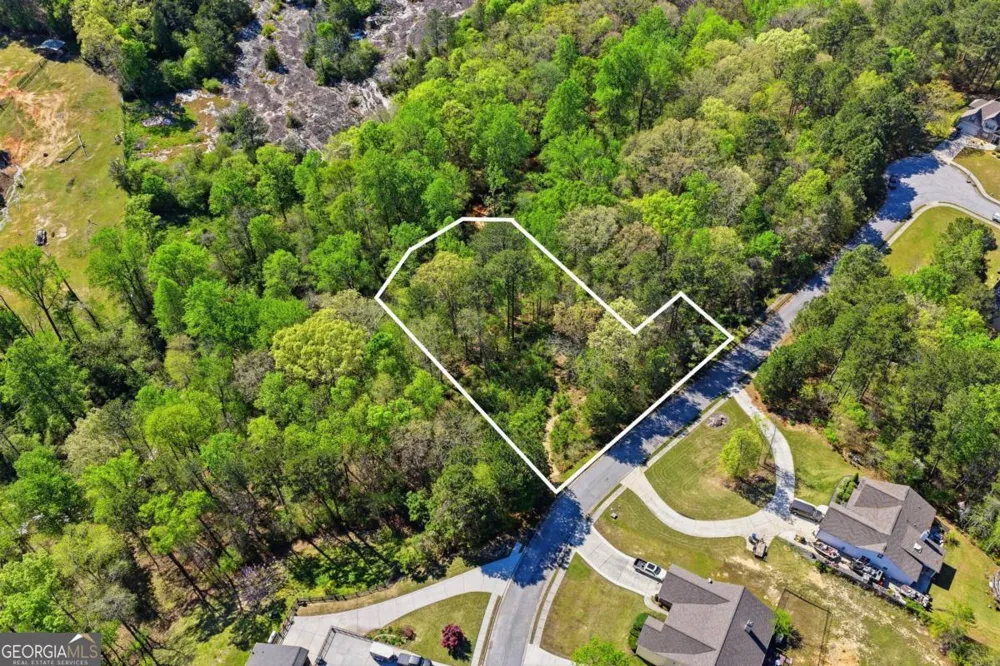 2129 Braswell LN Loganville, GA 30052