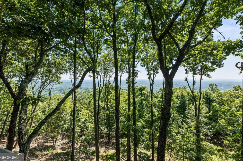912 Mcelroy Mountain DR Big Canoe, GA 30143