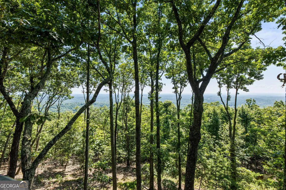 912 Mcelroy Mountain DR Big Canoe, GA 30143