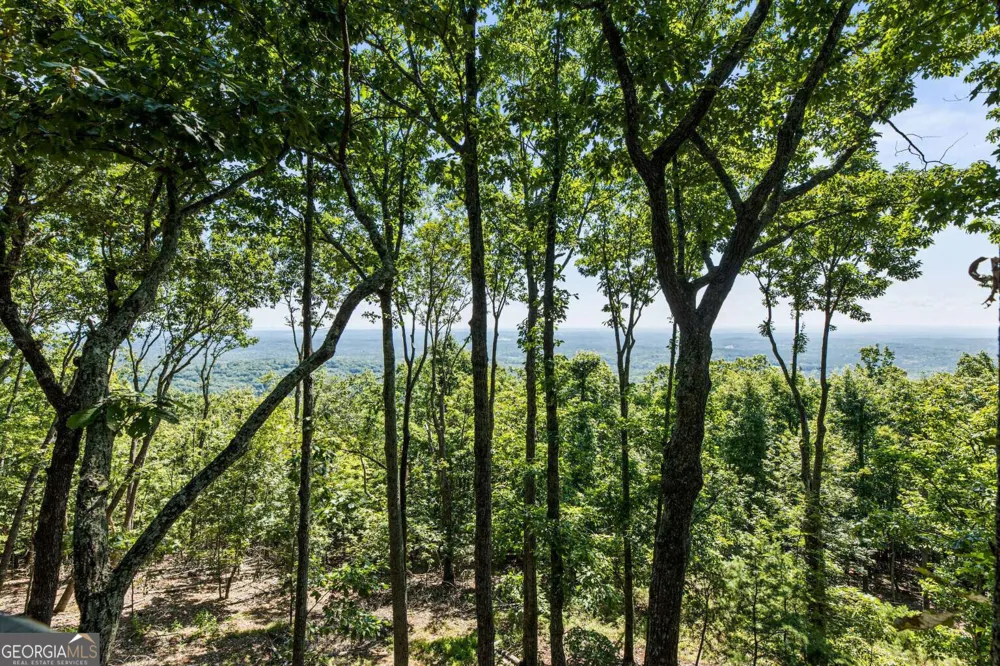 912 Mcelroy Mountain DR Big Canoe, GA 30143
