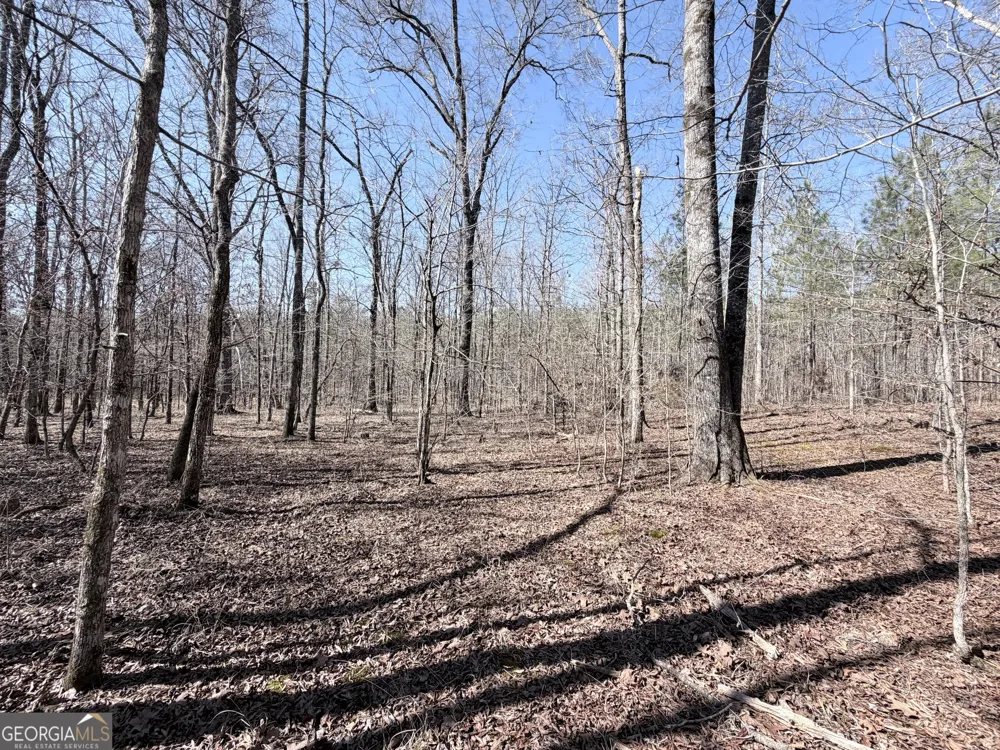 195 Margarets Grove RD SW Crawfordville, GA 30631