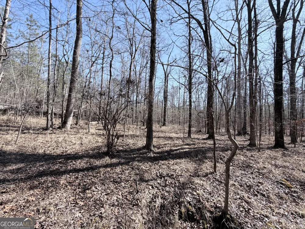 195 Margarets Grove RD SW Crawfordville, GA 30631