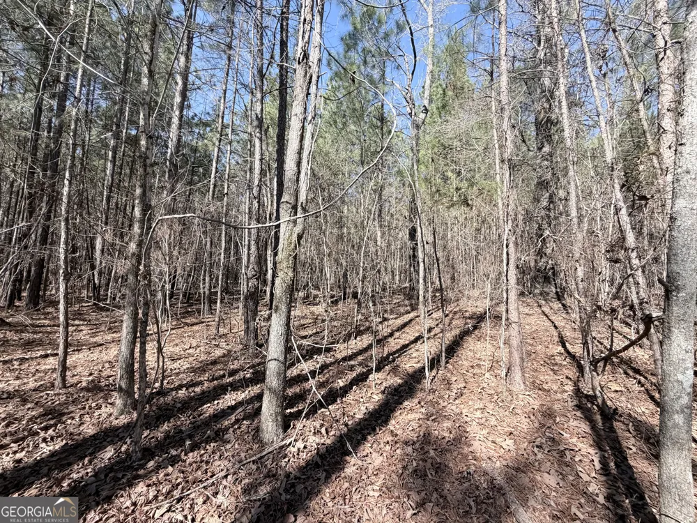 195 Margarets Grove RD SW Crawfordville, GA 30631