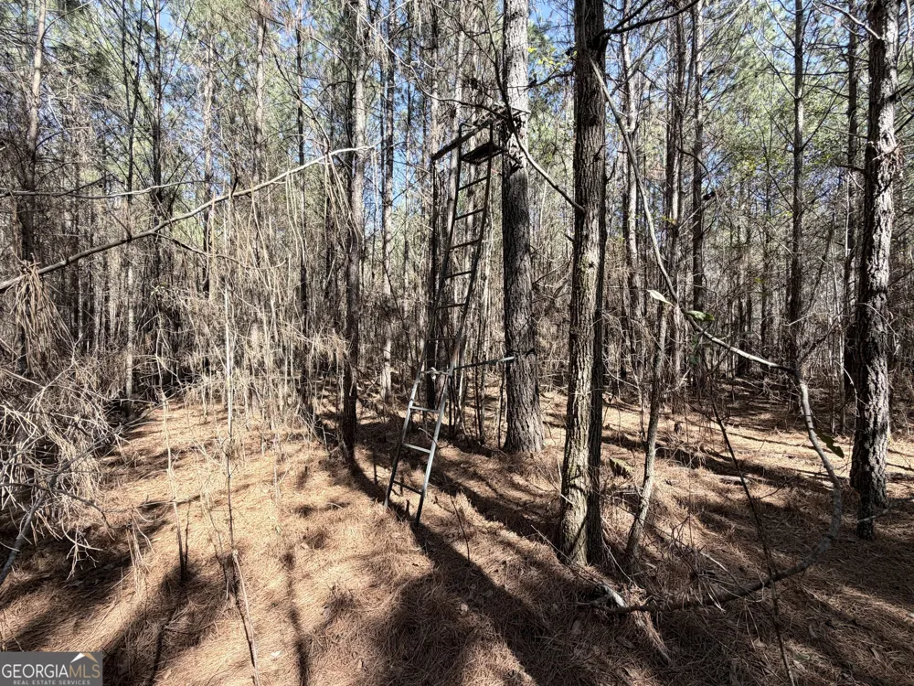 195 Margarets Grove RD SW Crawfordville, GA 30631