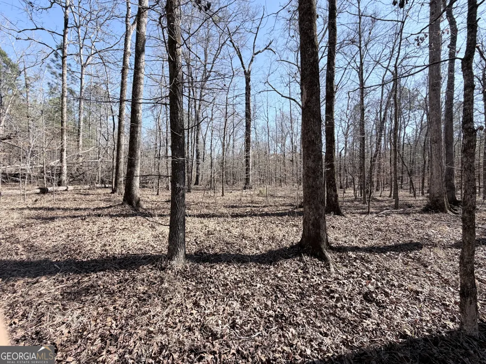 195 Margarets Grove RD SW Crawfordville, GA 30631