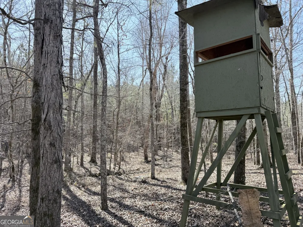 195 Margarets Grove RD SW Crawfordville, GA 30631