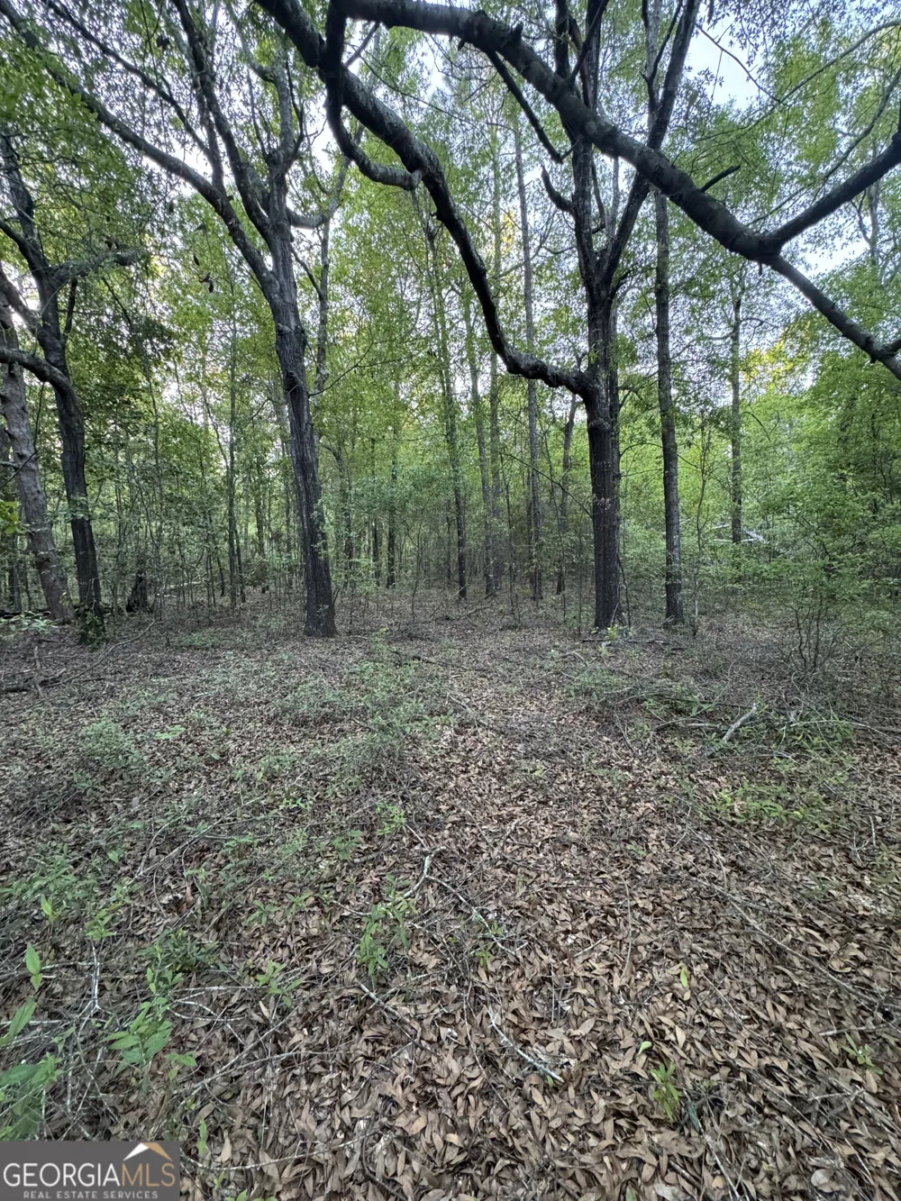 1045 Horseshoe RD Augusta, GA 30906