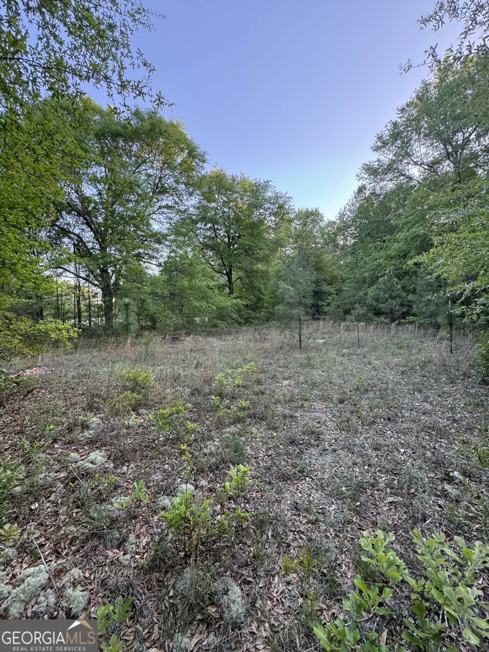 1045 Horseshoe RD Augusta, GA 30906