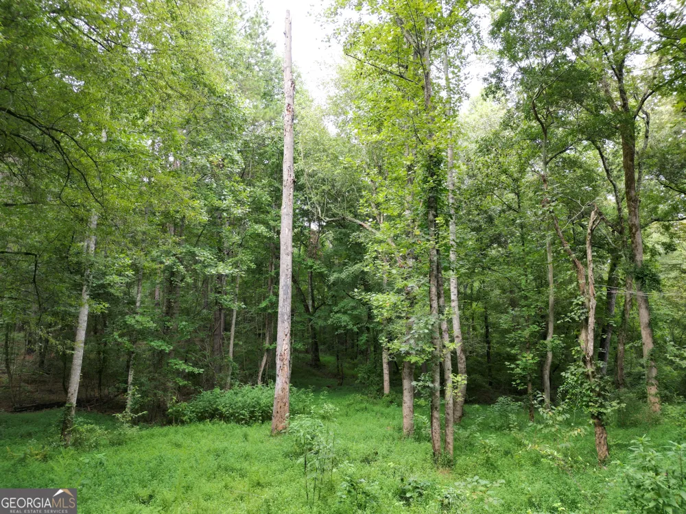 11 Owens RD Maysville, GA 30558