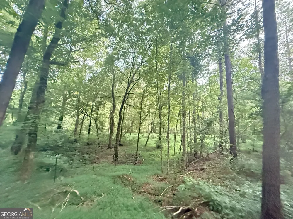 11 Owens RD Maysville, GA 30558