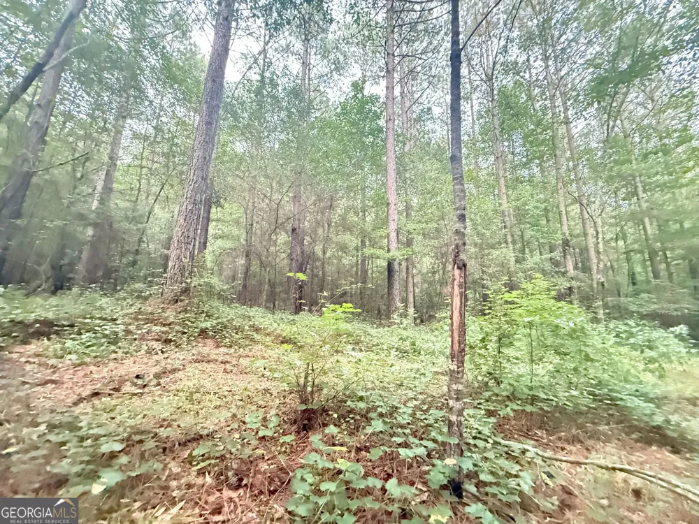 11 Owens RD Maysville, GA 30558