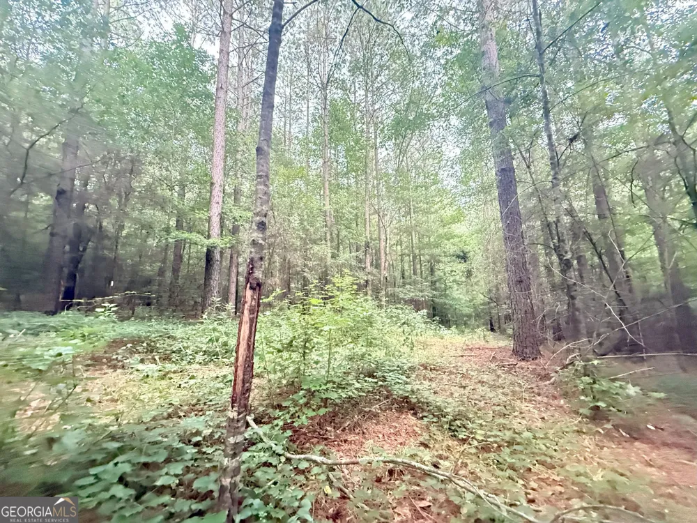 11 Owens RD Maysville, GA 30558